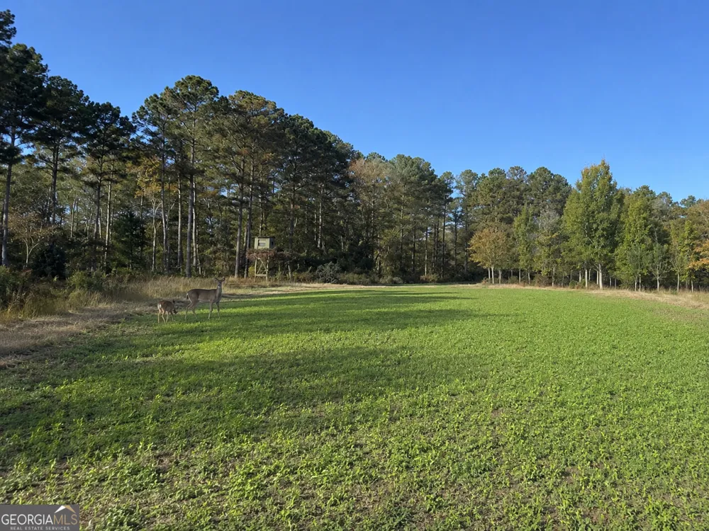 86.92 H B Dixon RD Sparta, GA 31087