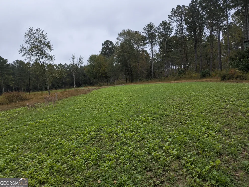 86.92 H B Dixon RD Sparta, GA 31087