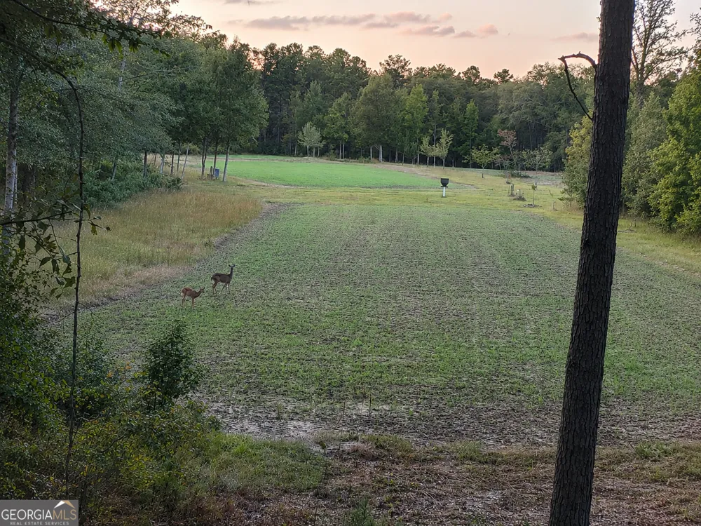 86.92 H B Dixon RD Sparta, GA 31087