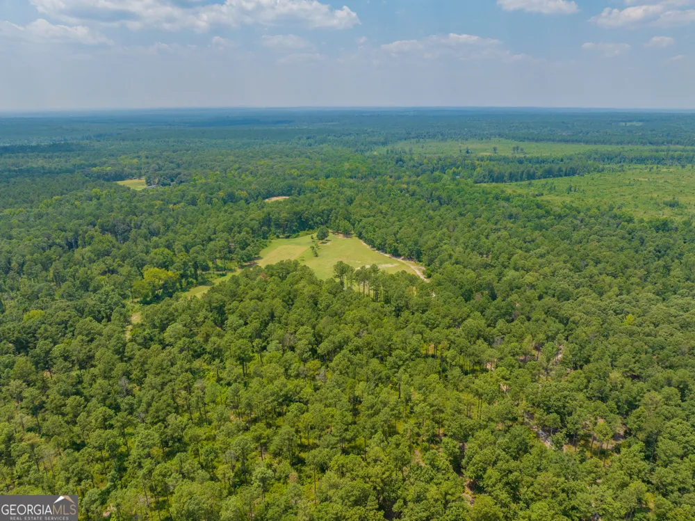 86.92 H B Dixon RD Sparta, GA 31087