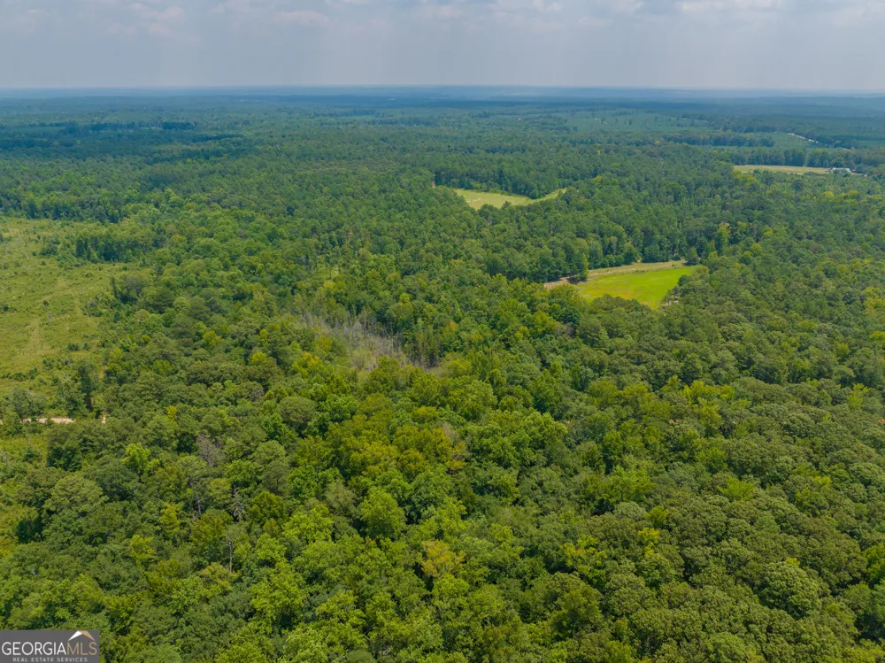 86.92 H B Dixon RD Sparta, GA 31087