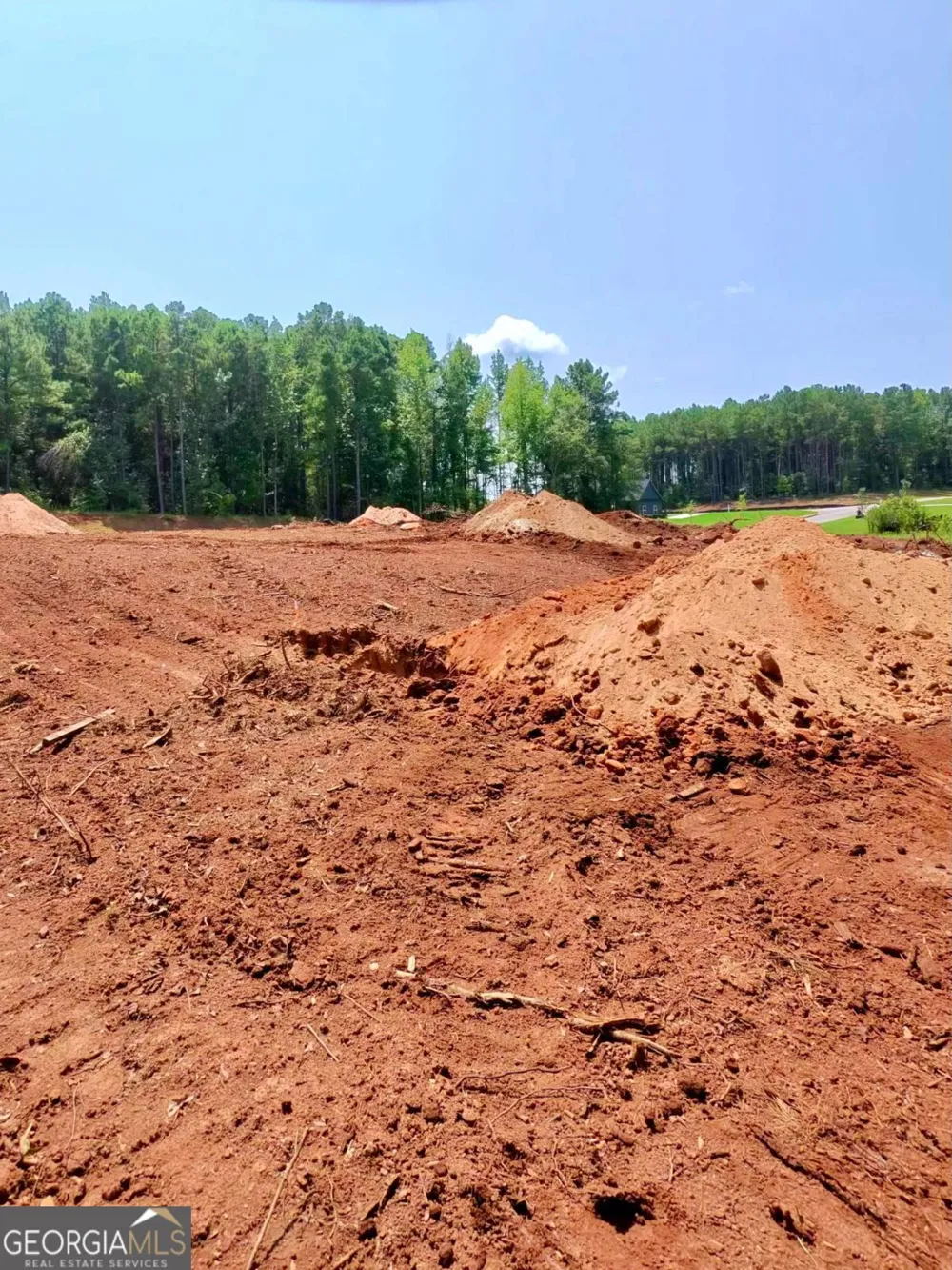 1 Wisteria LN Williamson, GA 30292