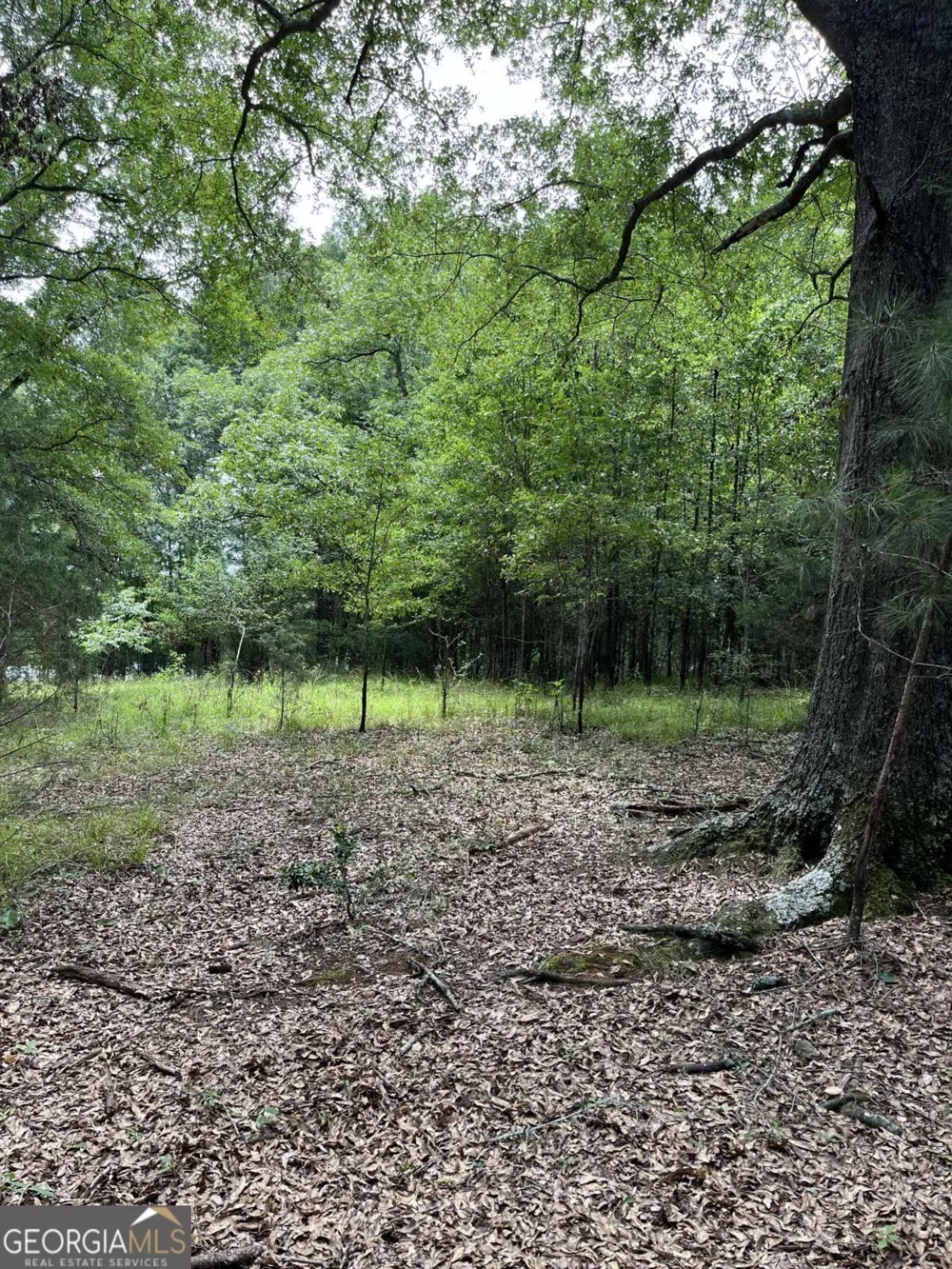 1240 Summit DR Watkinsville, GA 30677