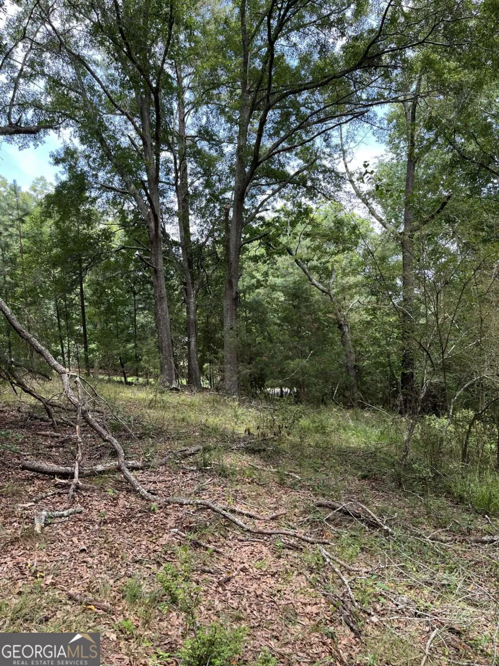 1240 Summit DR Watkinsville, GA 30677