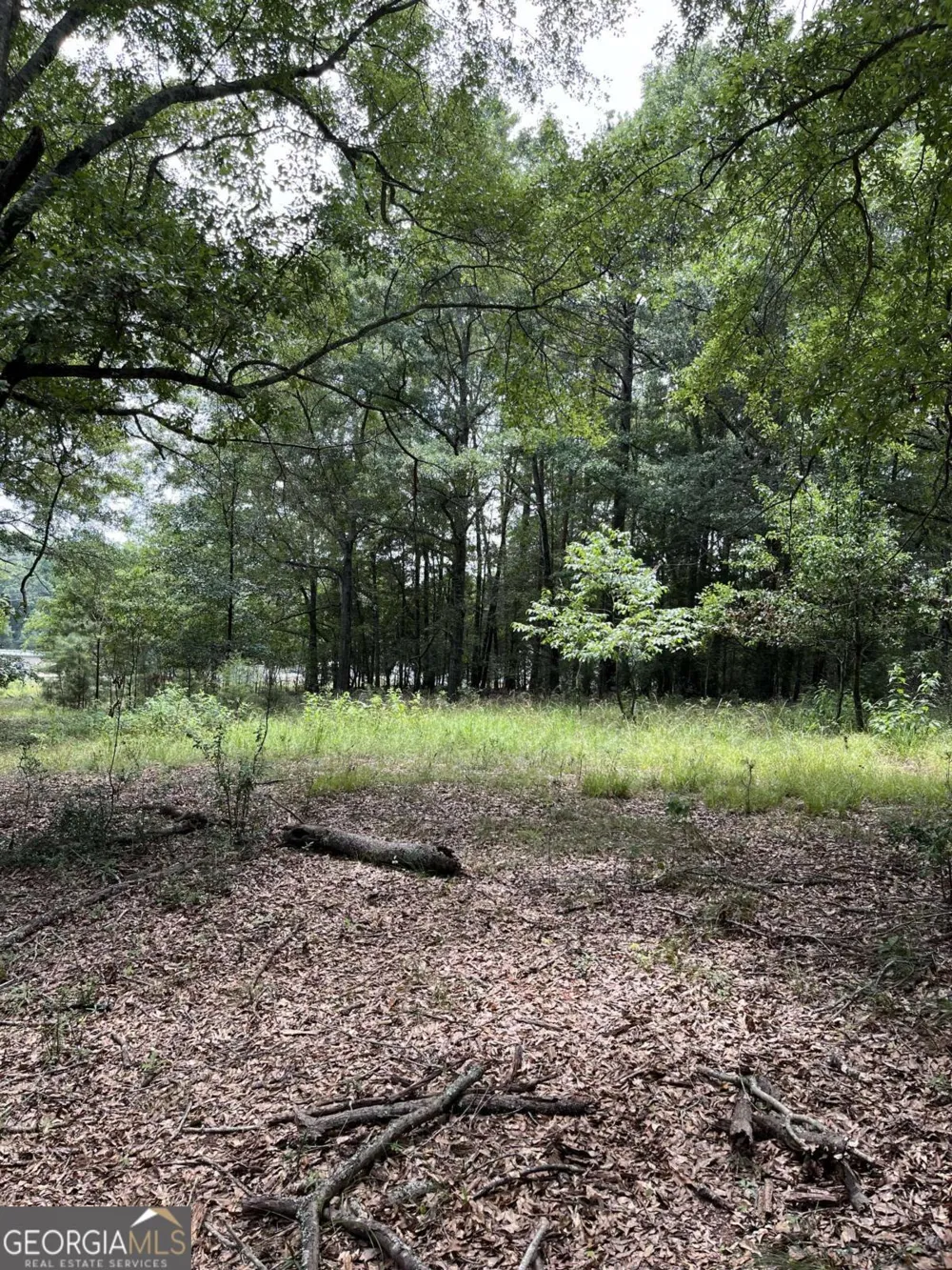 1240 Summit DR Watkinsville, GA 30677