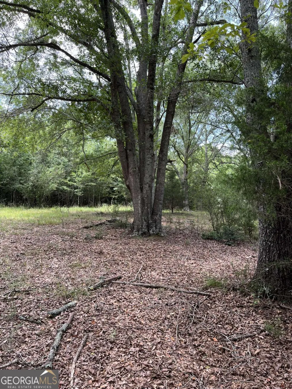 1240 Summit DR Watkinsville, GA 30677