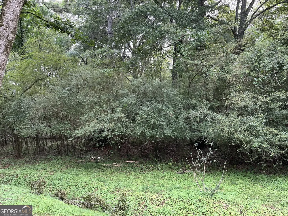 1240 Summit DR Watkinsville, GA 30677