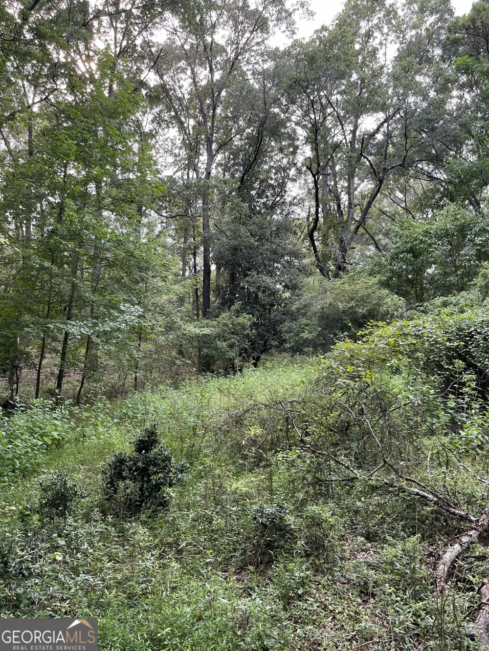 1240 Summit DR Watkinsville, GA 30677