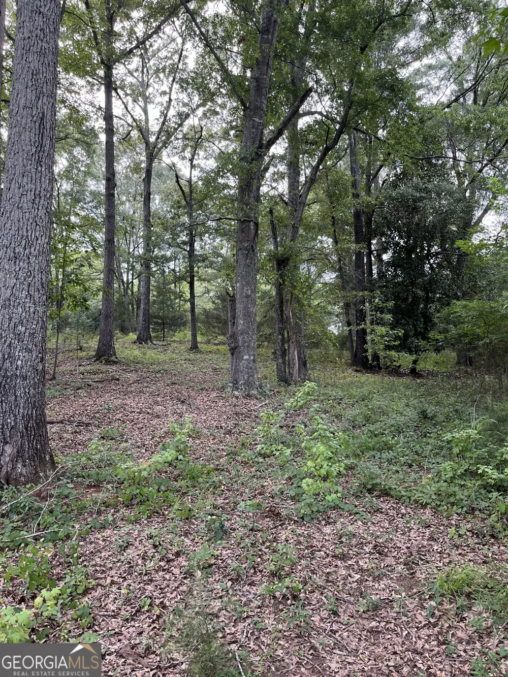 1240 Summit DR Watkinsville, GA 30677