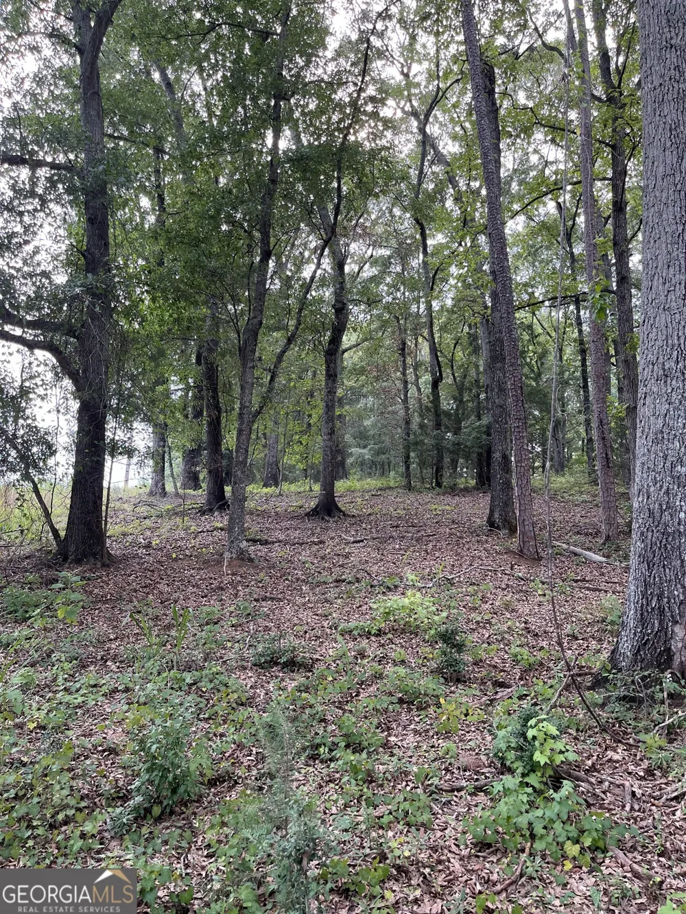 1240 Summit DR Watkinsville, GA 30677