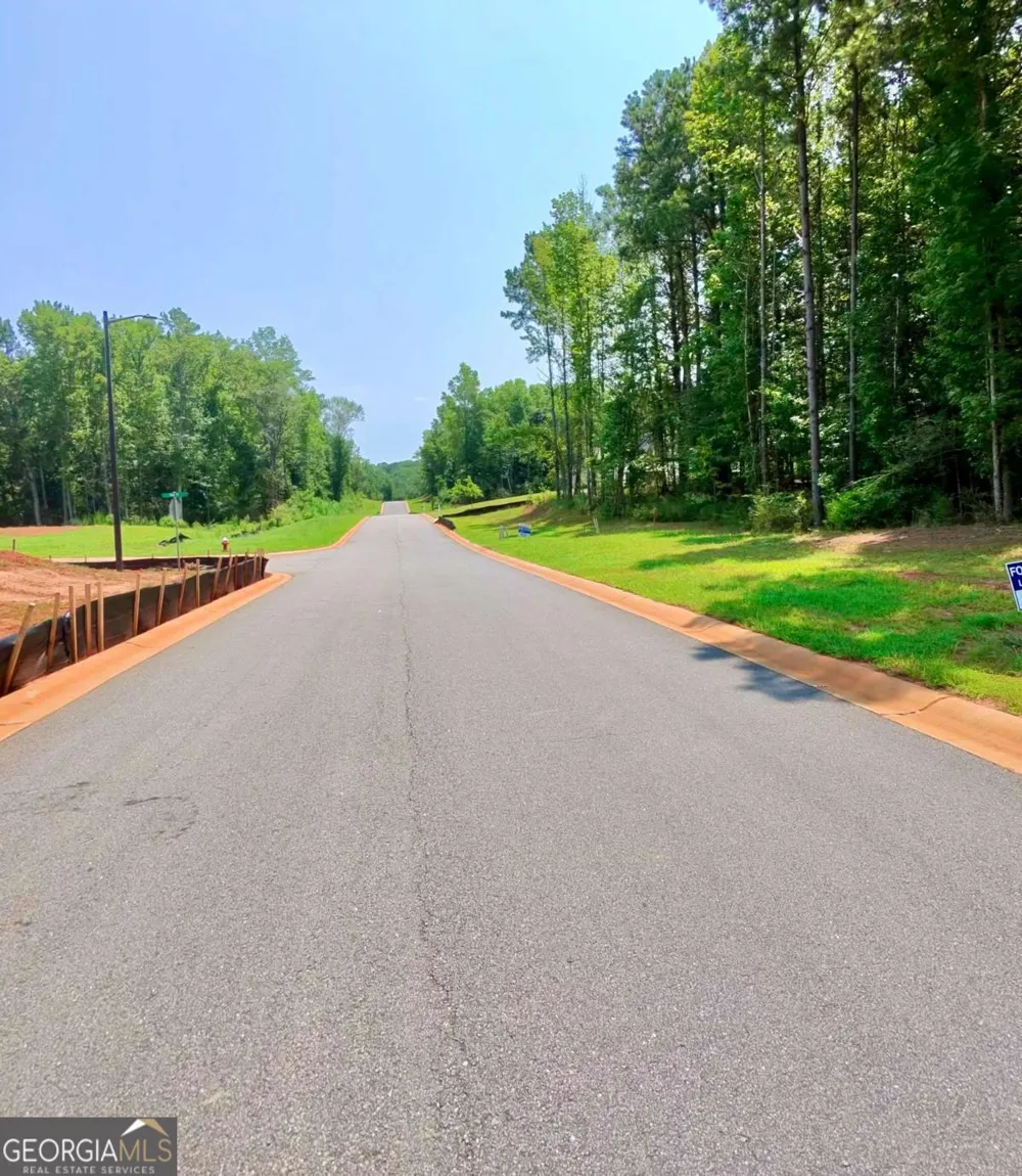 0 Wisteria LN Williamson, GA 30292