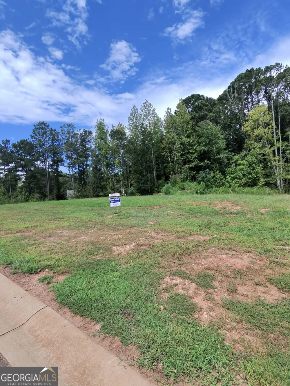 0 Wisteria LN Williamson, GA 30292