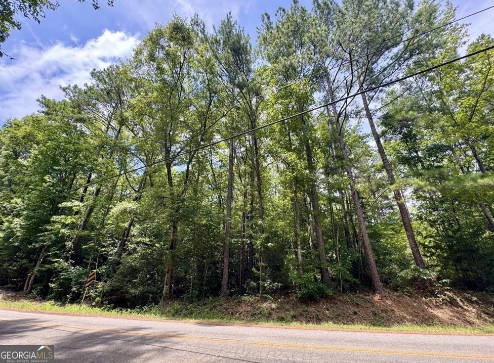 0 Mitchell RD Forsyth, GA 31029