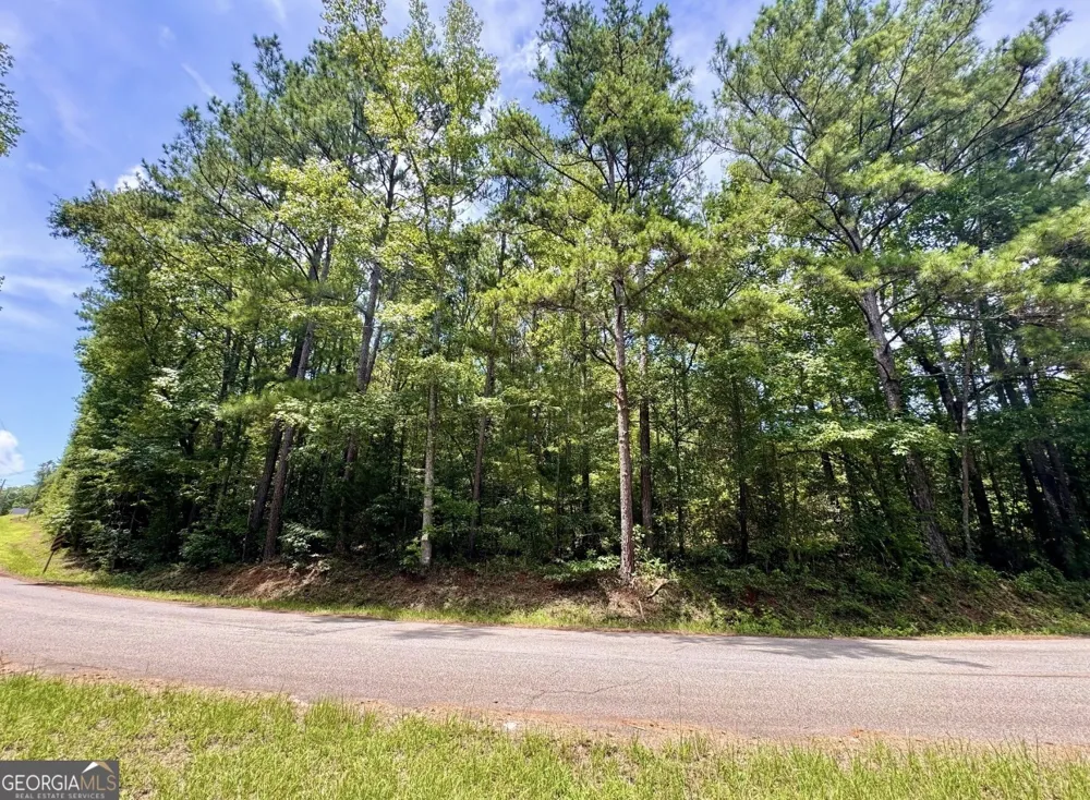 0 Mitchell RD Forsyth, GA 31029