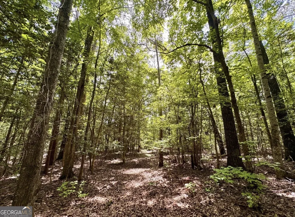 0 Mitchell RD Forsyth, GA 31029