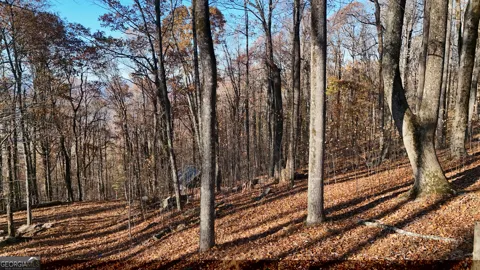LOT 11 Mountainside DR