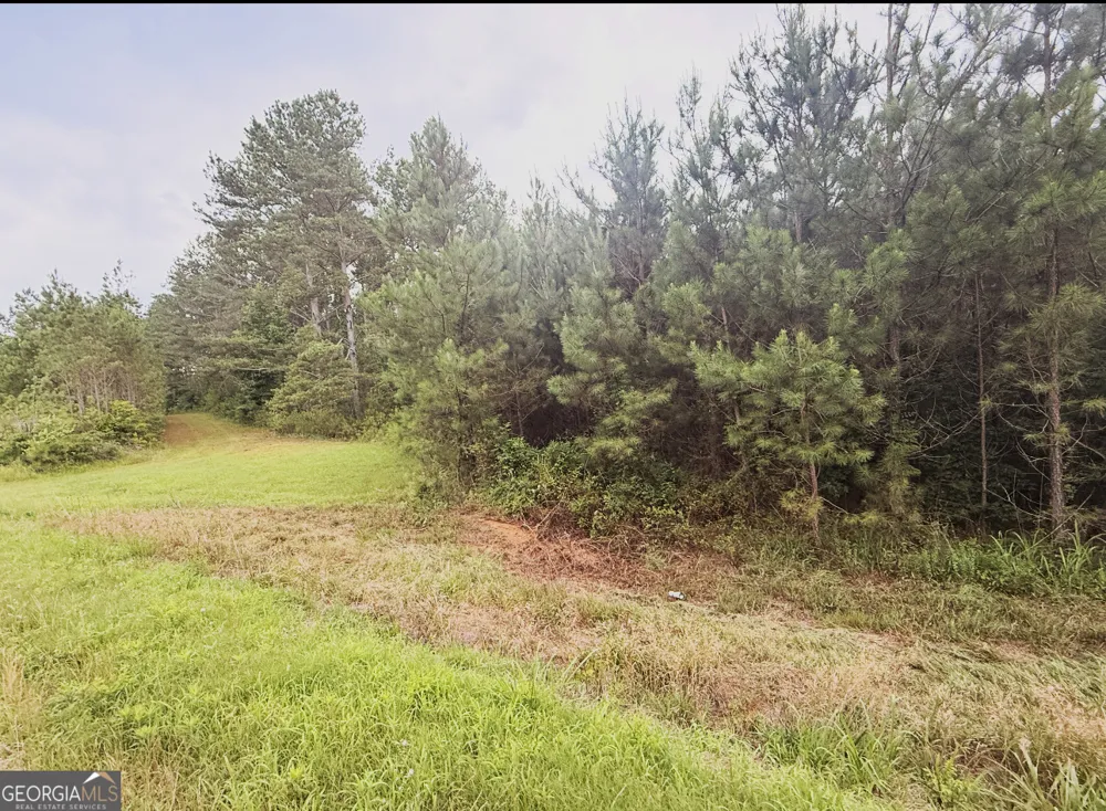 0 County Road 40 Fruithurst, AL 36262