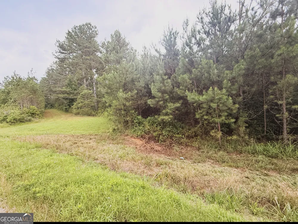 0 County Road 40 Fruithurst, AL 36262