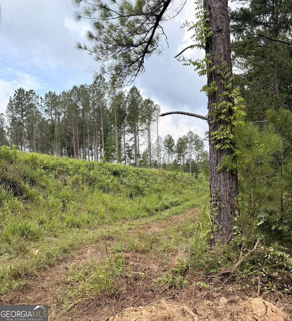 0 County Road 40 Fruithurst, AL 36262