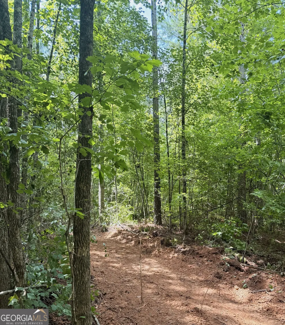 0 County Road 40 Fruithurst, AL 36262