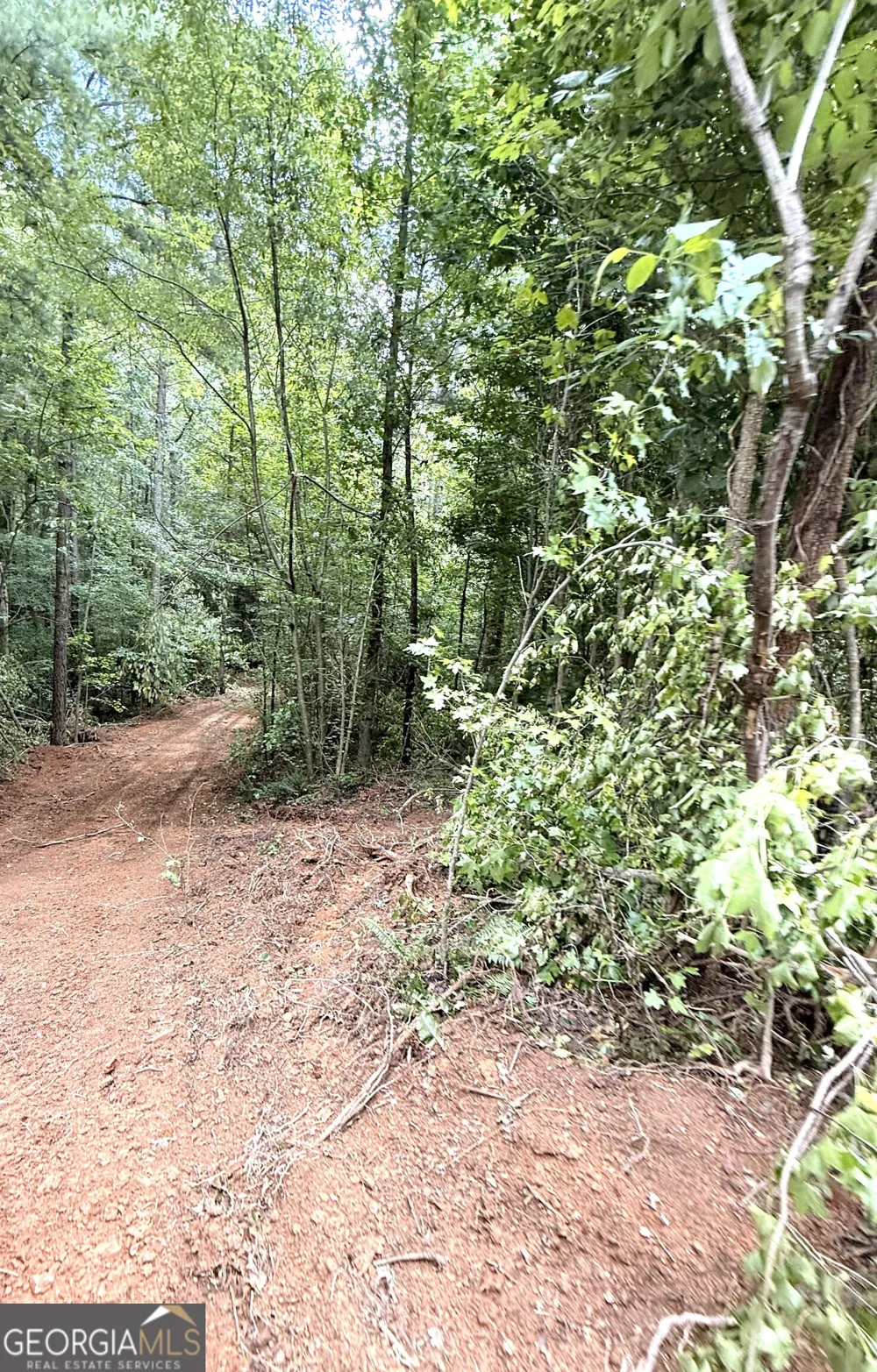 0 County Road 40 Fruithurst, AL 36262