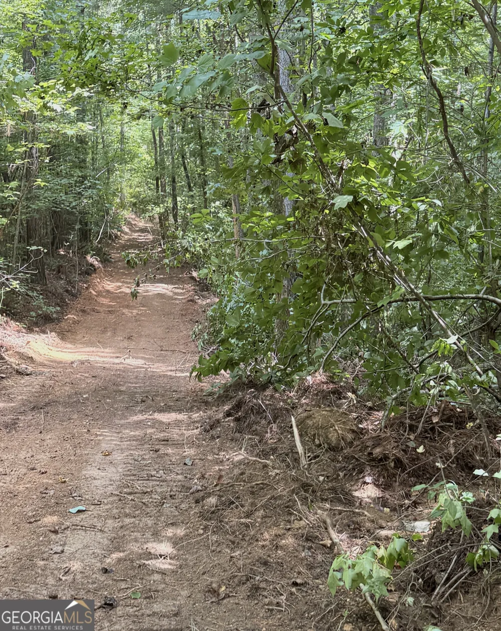 0 County Road 40 Fruithurst, AL 36262