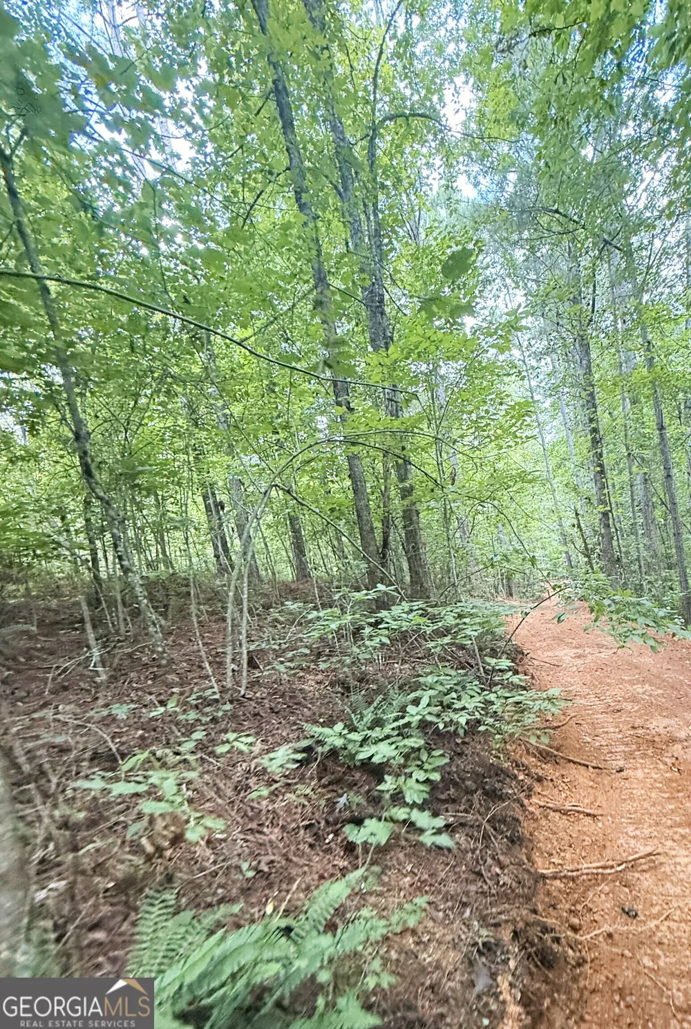 0 County Road 40 Fruithurst, AL 36262