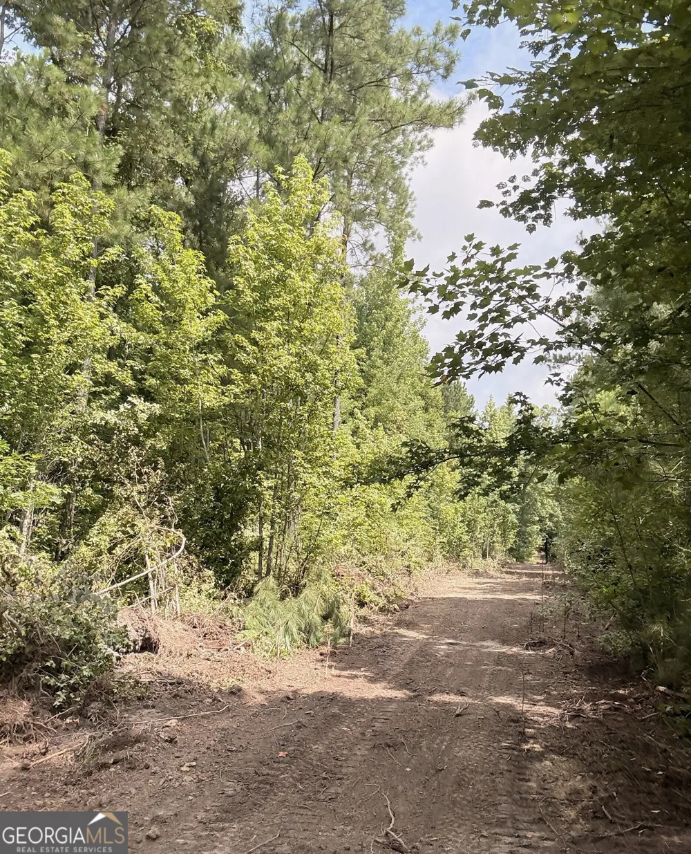 0 County Road 40 Fruithurst, AL 36262