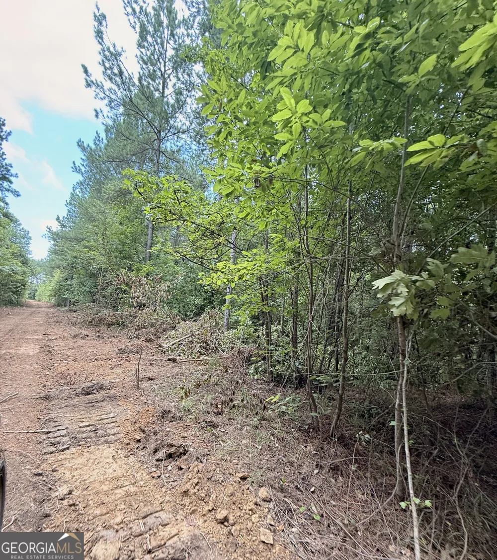 0 County Road 40 Fruithurst, AL 36262