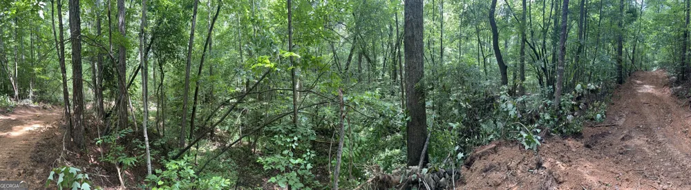 0 County Road 40 Fruithurst, AL 36262