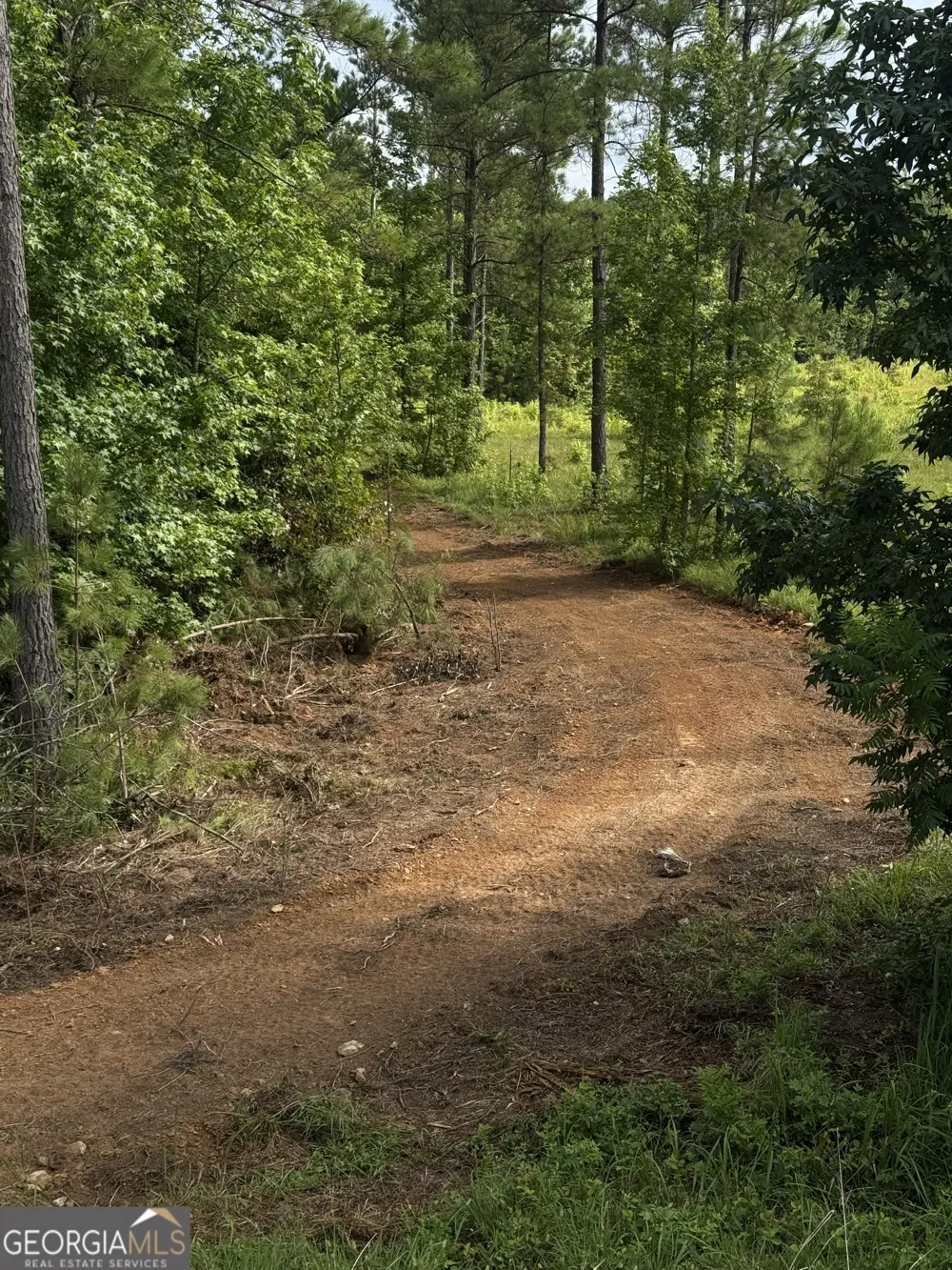 0 County Road 40 Fruithurst, AL 36262