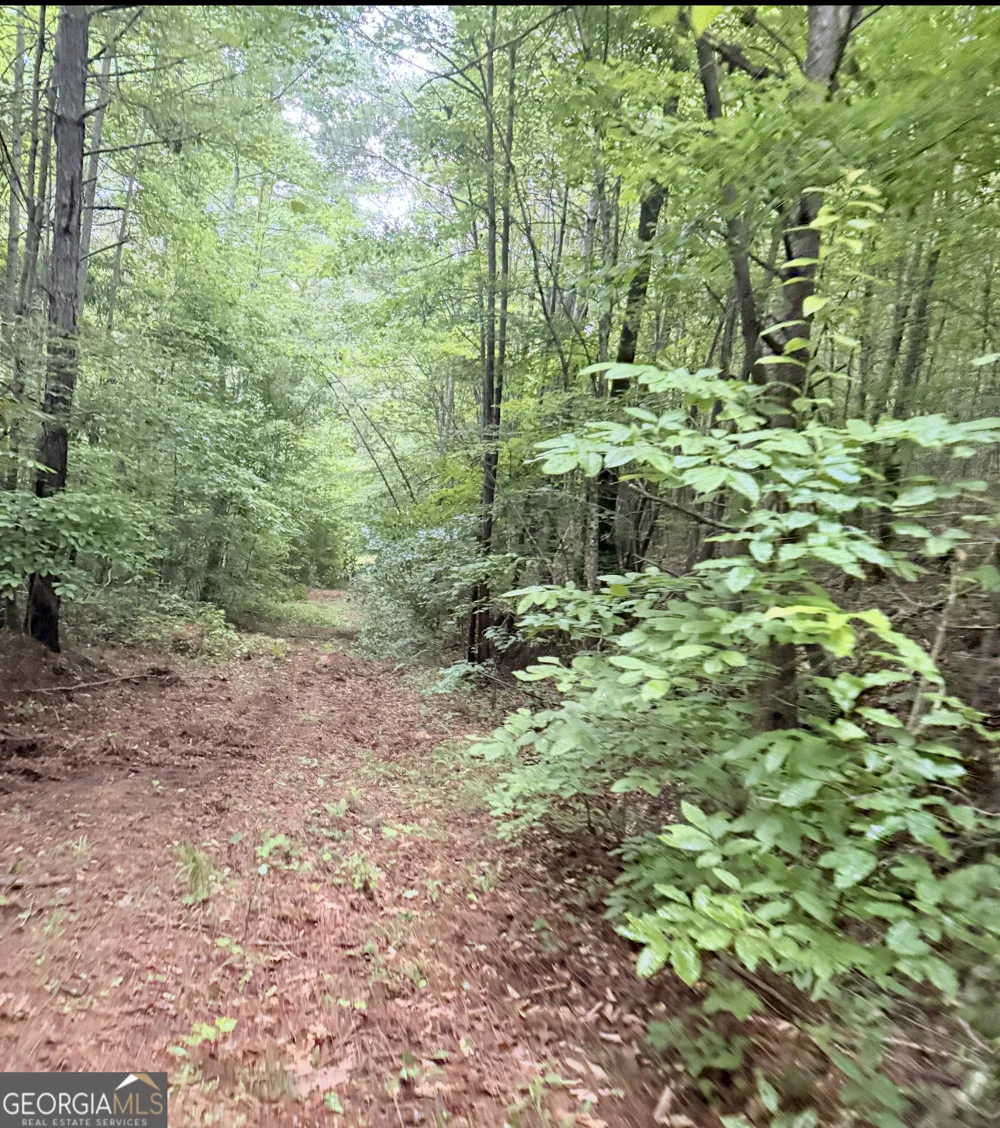 0 County Road 40 Fruithurst, AL 36262