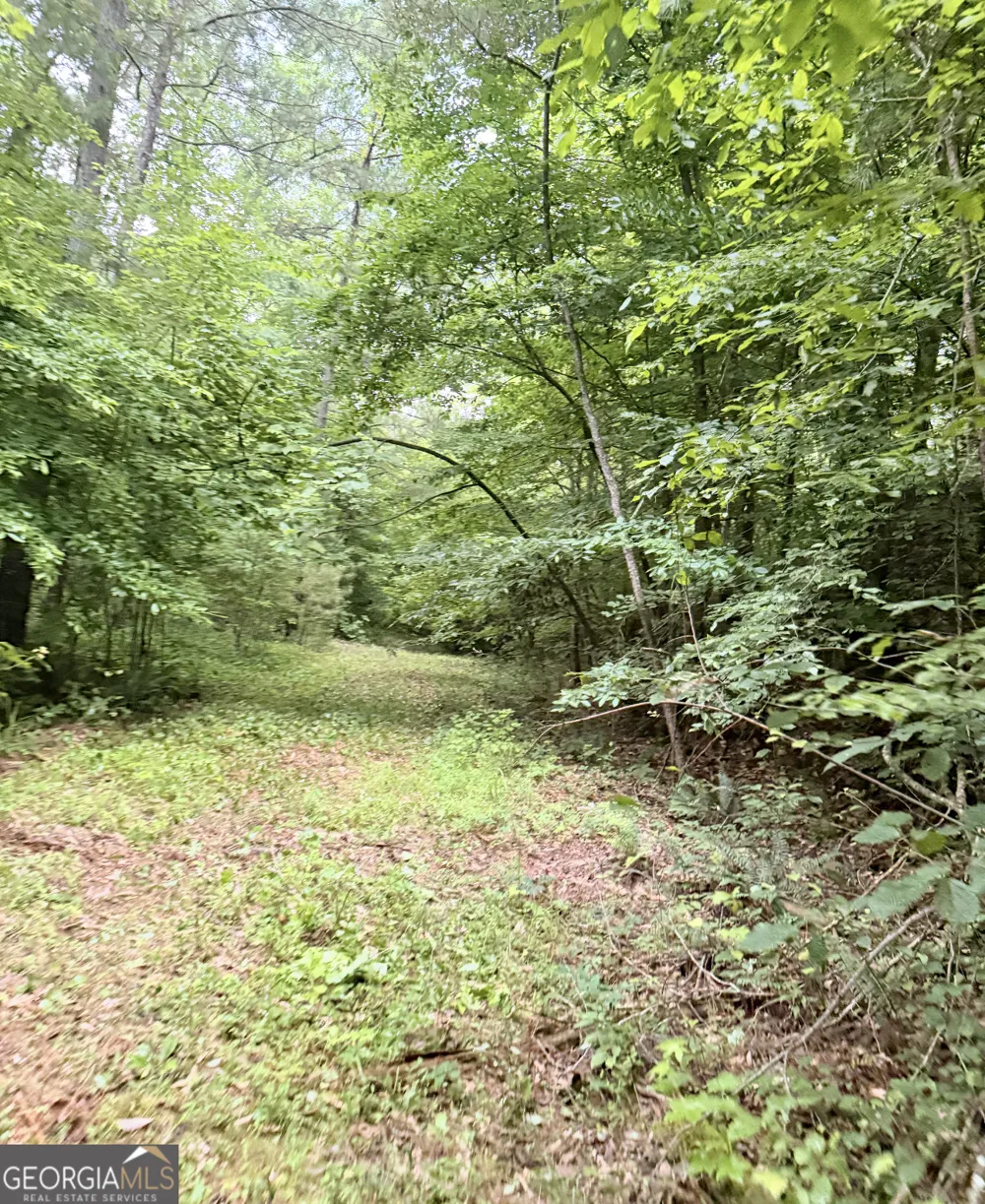 0 County Road 40 Fruithurst, AL 36262
