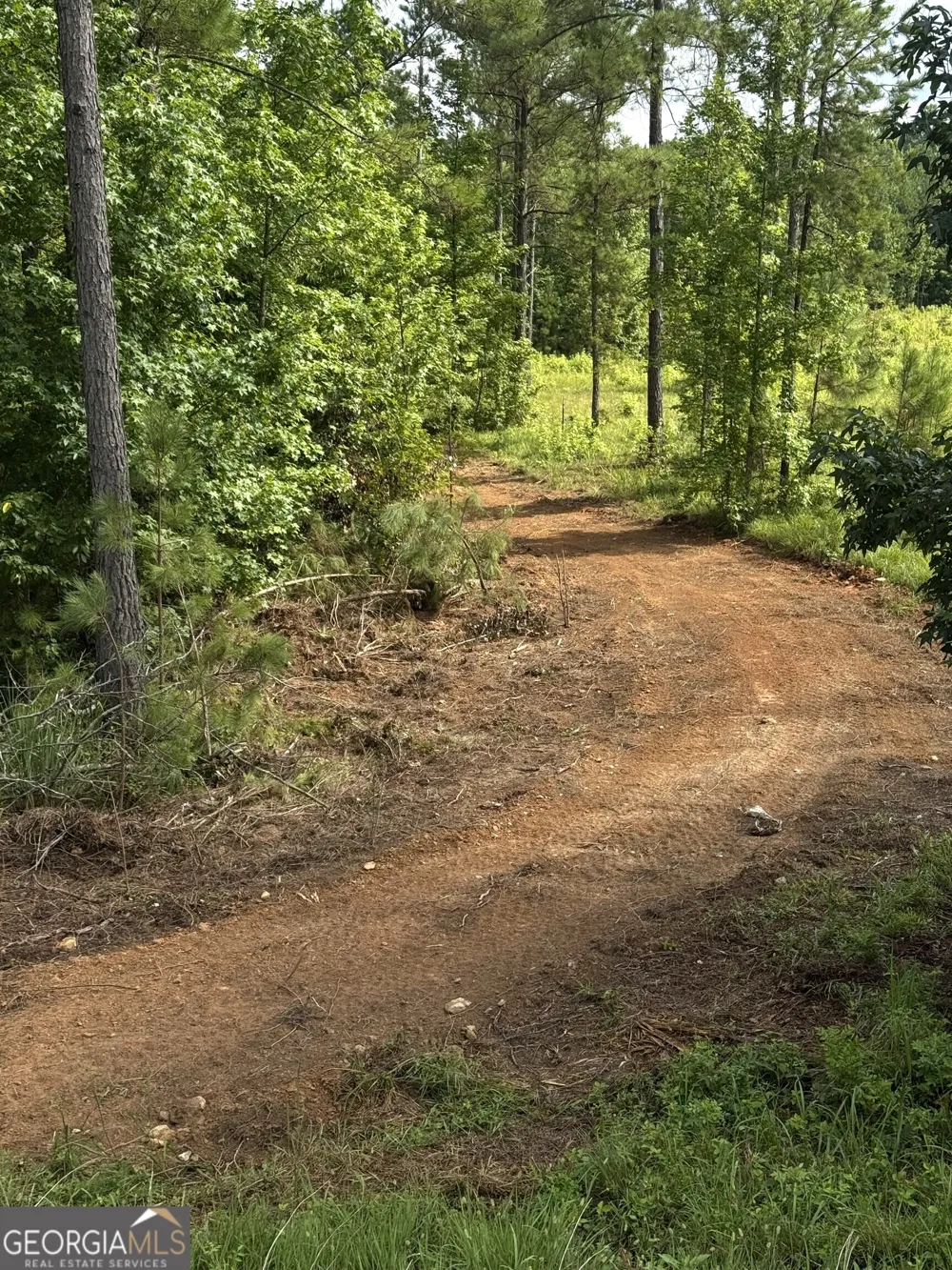 0 County Road 40 Fruithurst, AL 36262