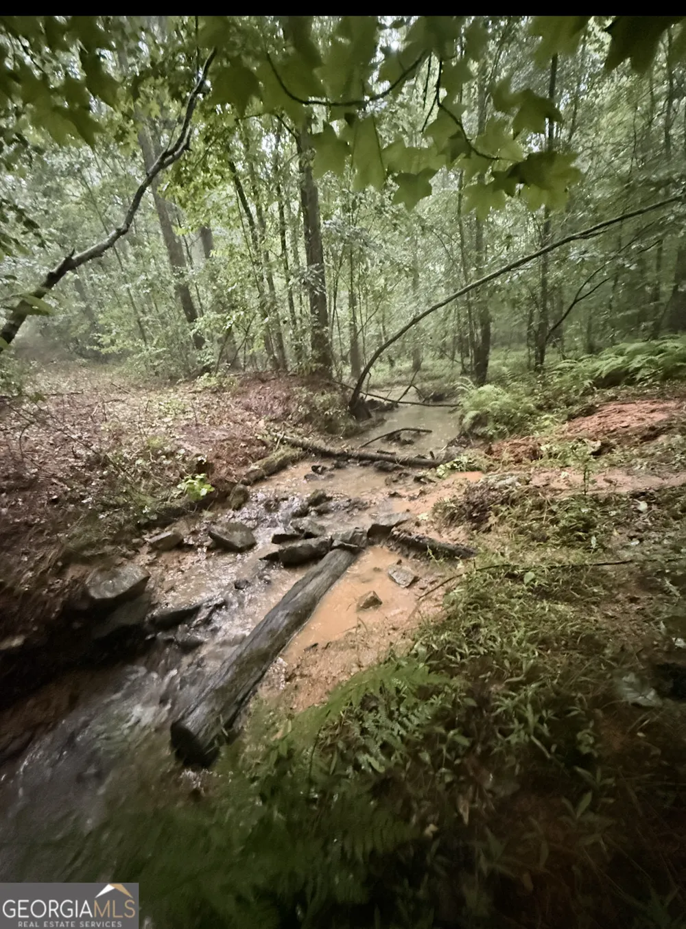 0 County Road 40 Fruithurst, AL 36262