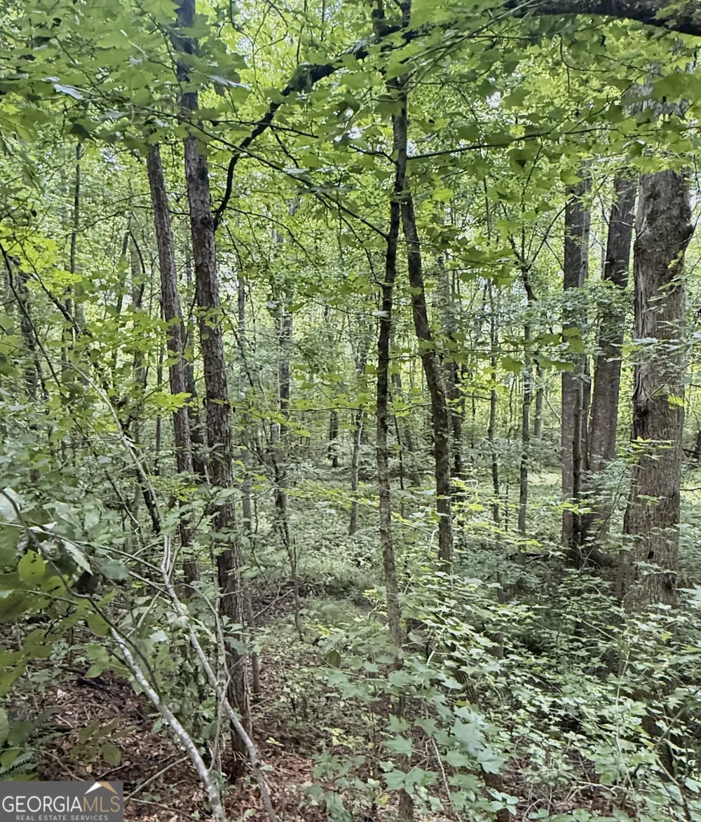 0 County Road 40 Fruithurst, AL 36262