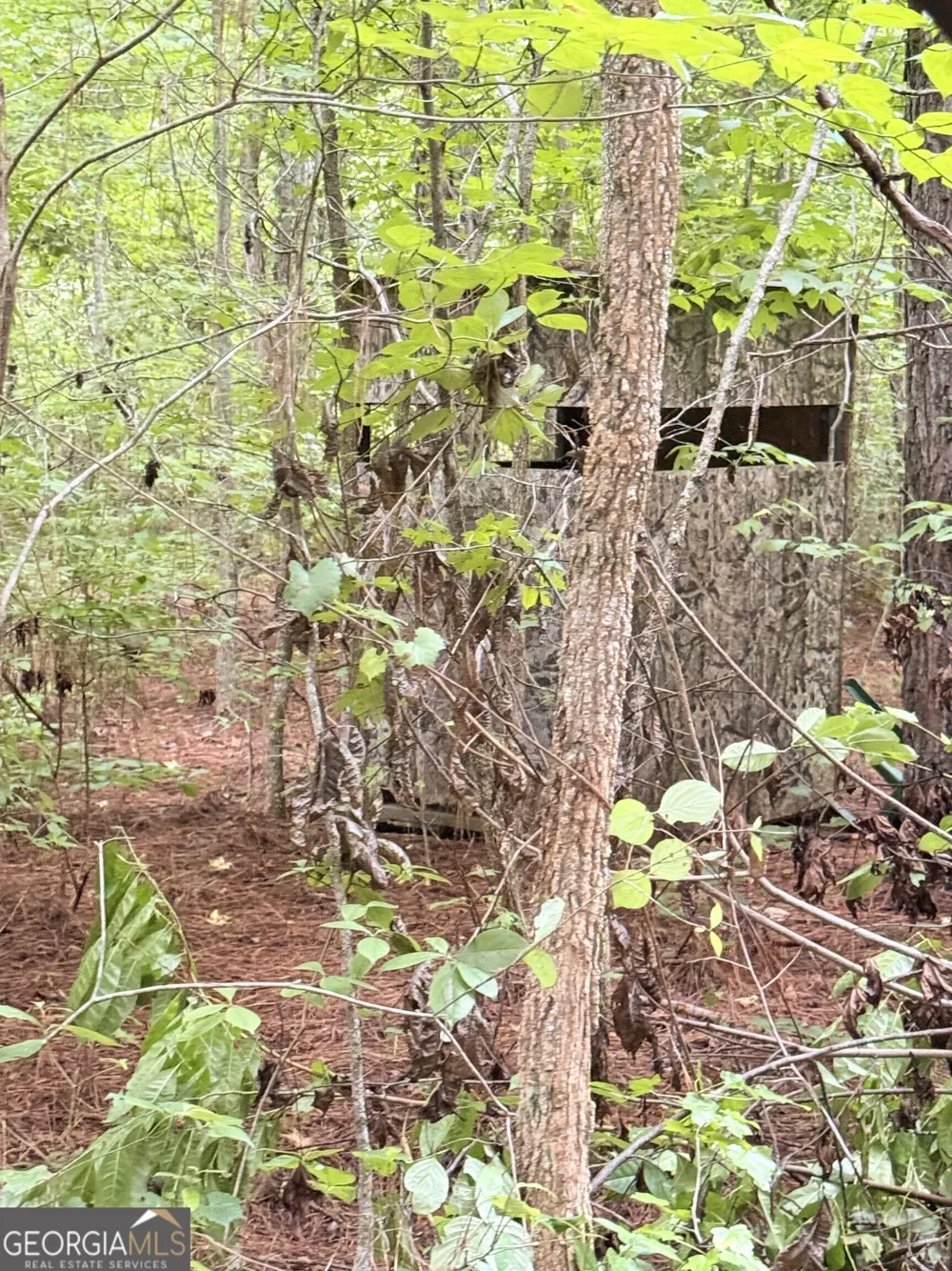 0 County Road 40 Fruithurst, AL 36262