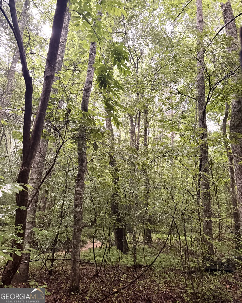 0 County Road 40 Fruithurst, AL 36262