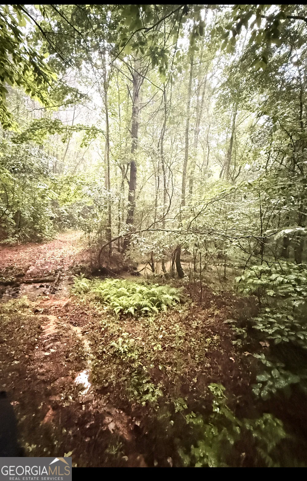 0 County Road 40 Fruithurst, AL 36262