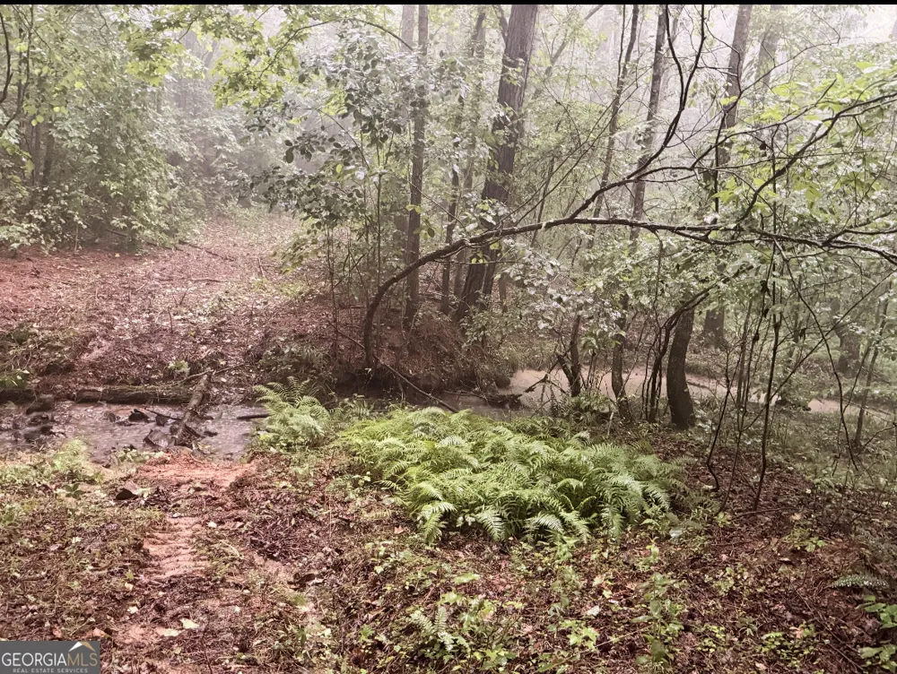 0 County Road 40 Fruithurst, AL 36262
