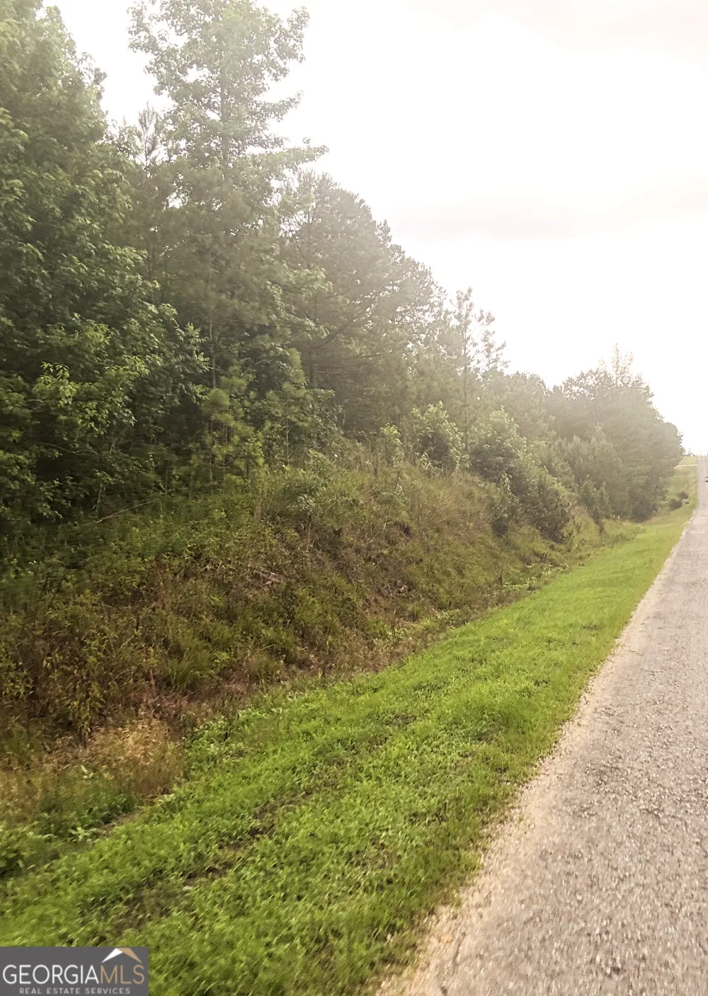 0 County Road 40 Fruithurst, AL 36262