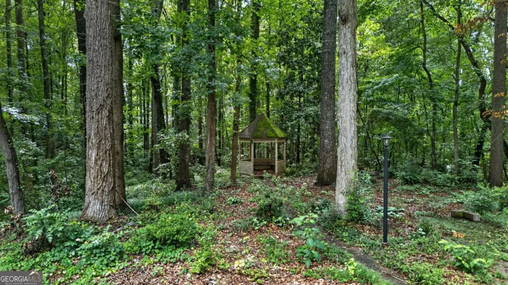 1955 Branchwood CT Snellville, GA 30078