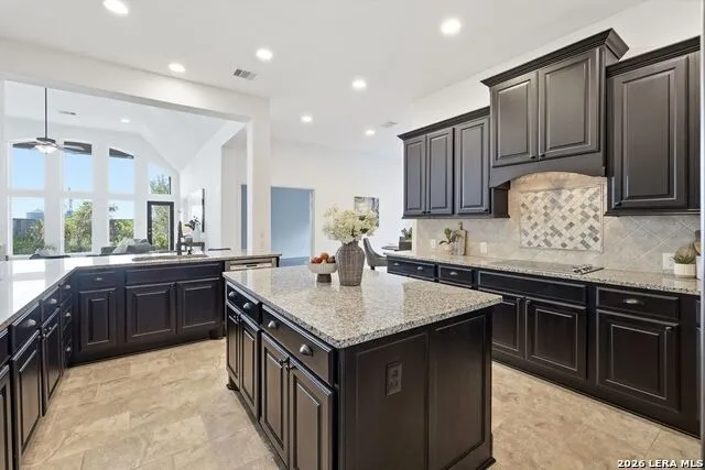 3061 Coral Sky Seguin, TX 78155