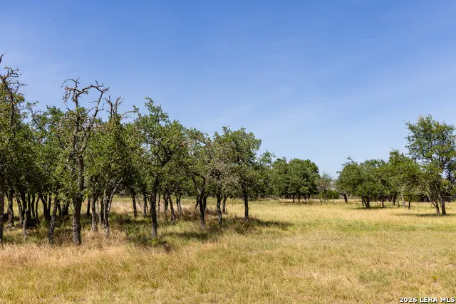 5078 Friedrich Rd Fredericksburg, TX 78624