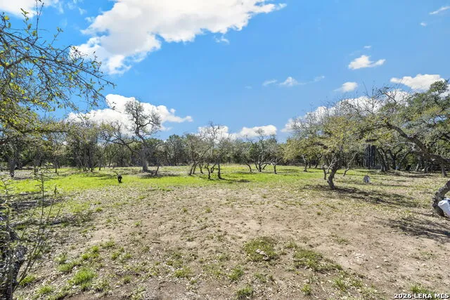 979 Belle Oaks Bulverde, TX 78163