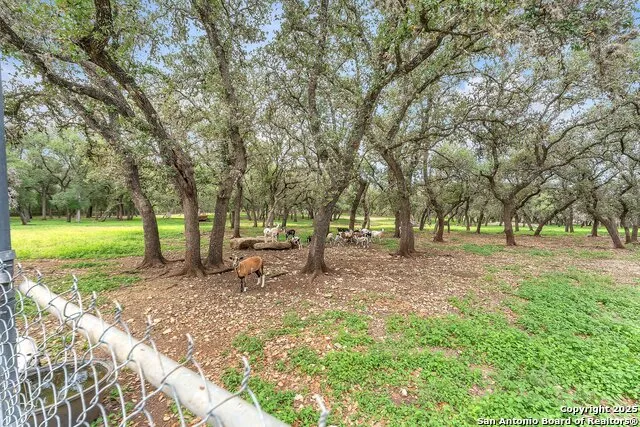 11650 Sunset Ranch Helotes, TX 78023