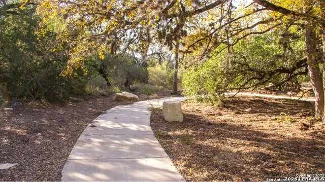 31641 NIMBUS DR Bulverde, TX 78163