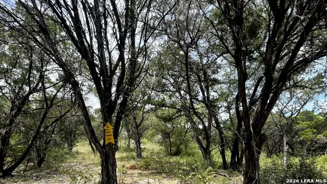 19 County Road 270 Mico, TX 78056