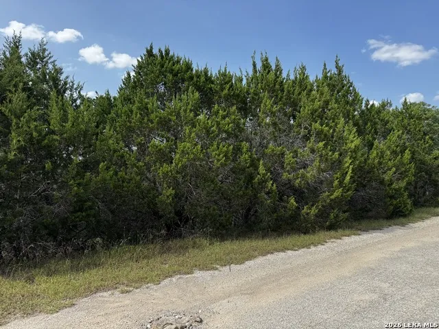 LOT 9 HILLSIDE DRIVE Spring Branch, TX 78070