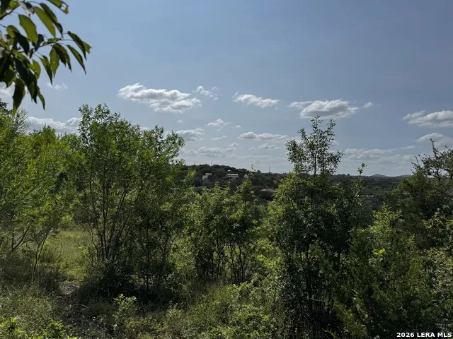 LOT 9 HILLSIDE DRIVE Spring Branch, TX 78070